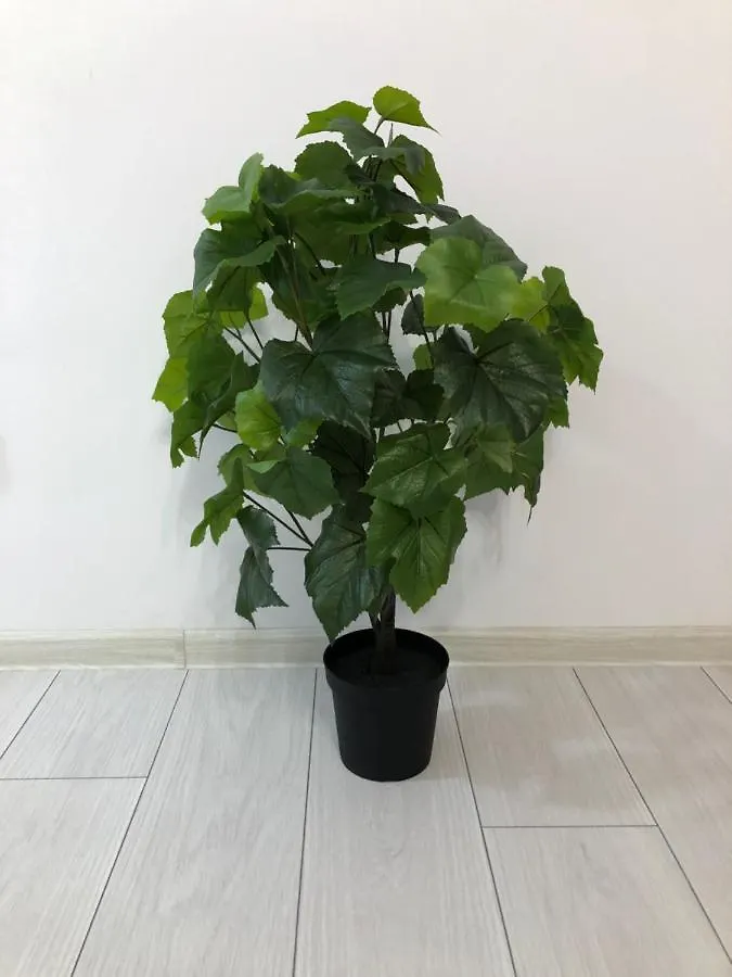 Apartament - Drumul Taberei Parc Residence بوخارست
